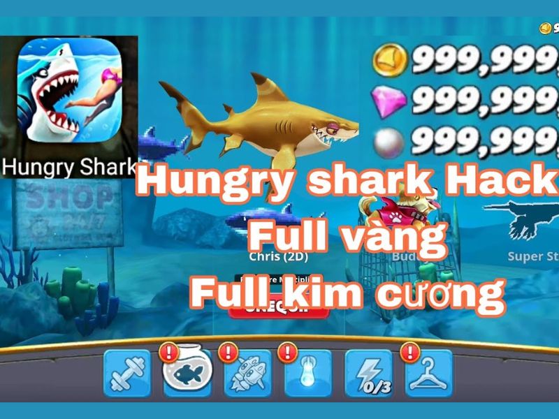 Tải Hungry Shark World Hack (Vô Hạn Tiền, Kim Cương) v8.0.6 Vô Hạn Tiền, Kim Cương trong Hungry Shark World Hack