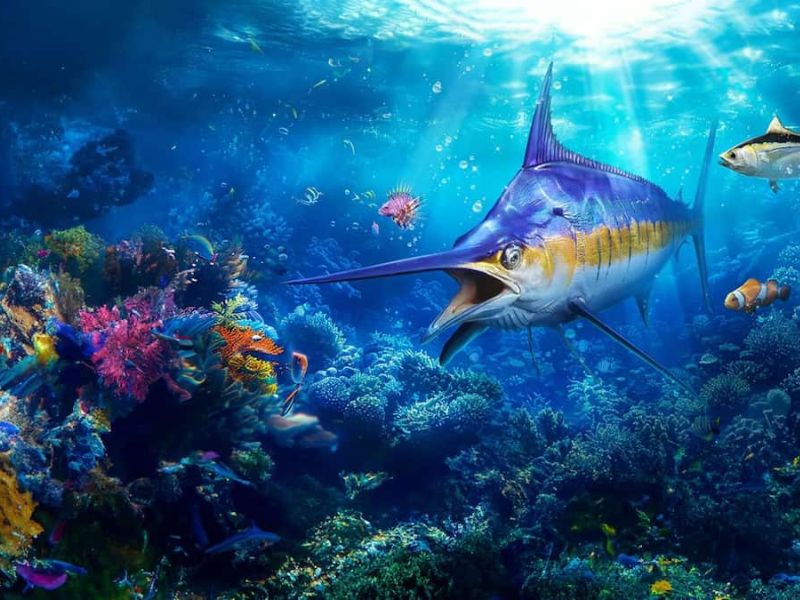 Fishing Master APK có đồ họa sống độngFishing Master APK có đồ họa sống động