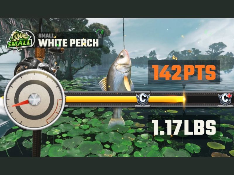 Hệ thống trang bị và nâng cấp trong Fishing Master APK