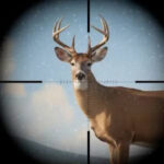 Tải Trophy Hunter MOD APK (Menu, One Hit) v3.27.0